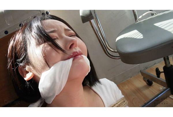 CMV-213 Damsel In Distress: The Suffering Maiden 2 Screenshot 15