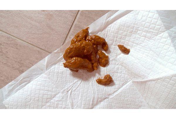 ODV-557 [Immediate Suspension Due To Policy Violation!] Mother Gets Excited By Public Defecation And Daughter Indulges In Vomiting Masturbation Screenshot 13